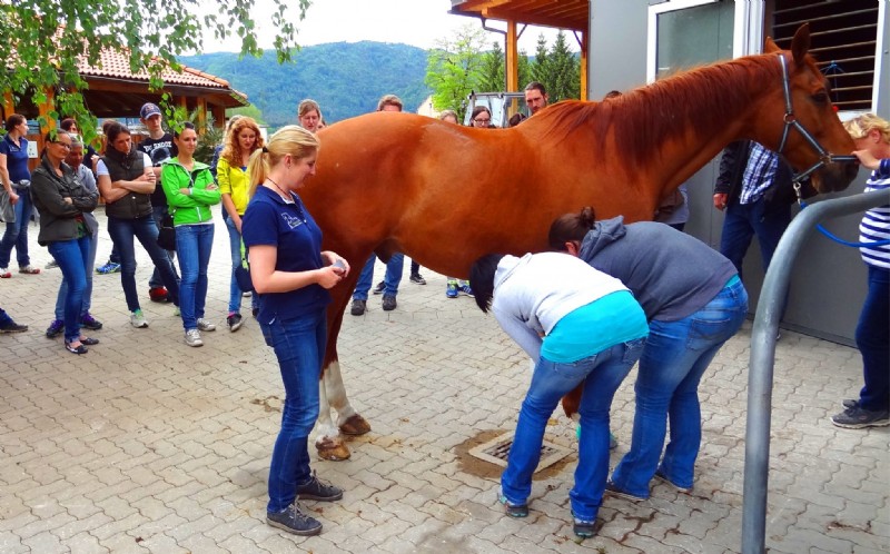 Erste Hilfe Kurs